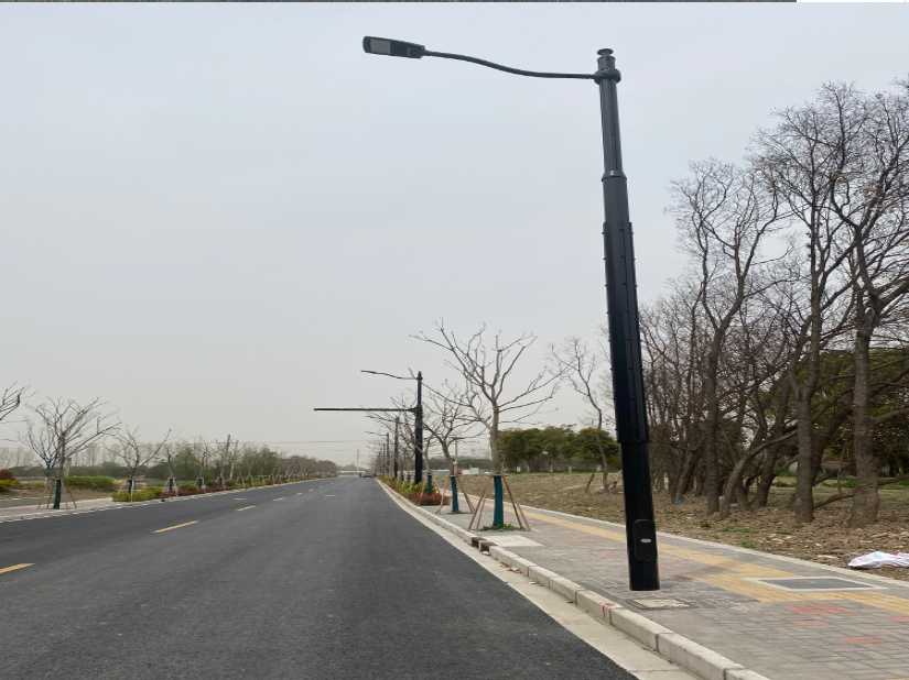 龙口市上海综合杆 太阳能路灯工程